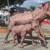 IMG_20230925_141026119_HDR