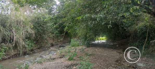 IMG_20231117_145151009_HDR