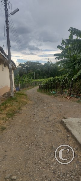 IMG_20231117_145604995_HDR
