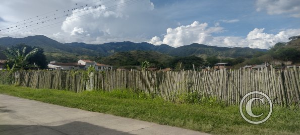 IMG_20231117_150635321_HDR