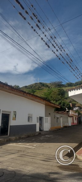 IMG_20231117_154749822_HDR