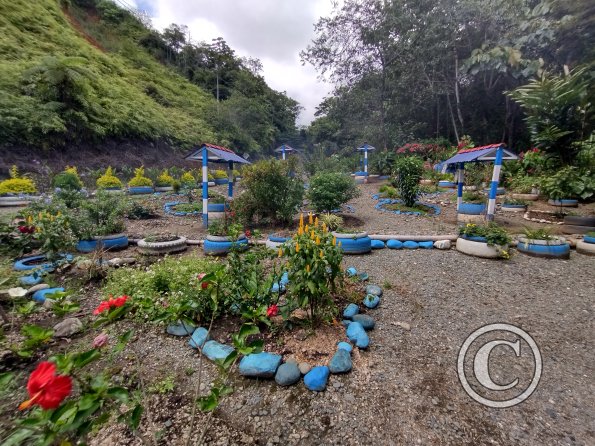 IMG_20211201_130102549_HDR