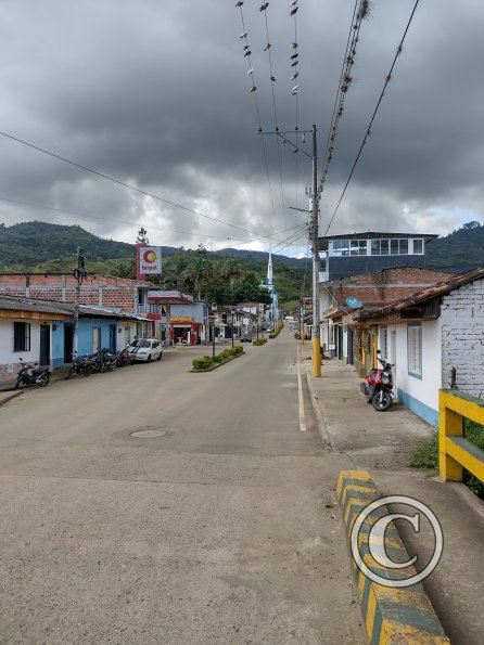 IMG_20211201_132132228_HDR