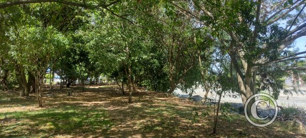 IMG_20231211_121318289_HDR
