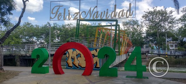 IMG_20231211_124353167_HDR
