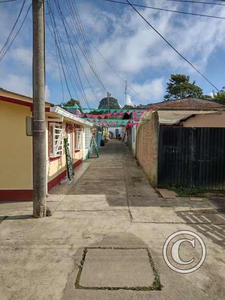 IMG_20211208_152102484_HDR