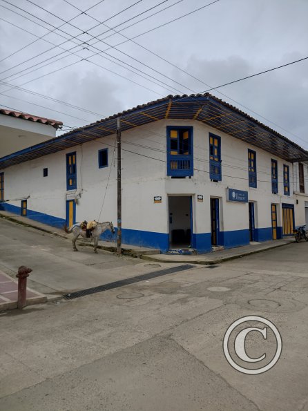 IMG_20211209_092313608_HDR