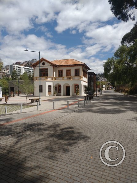 Casa de la Música (2)