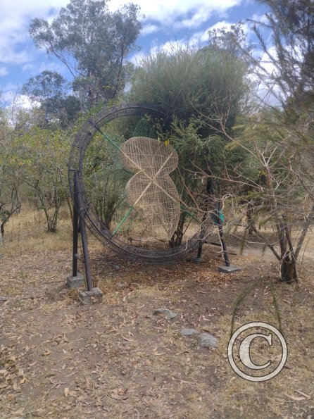 La Siembra de los Arboles, Parque El Sueno (2)