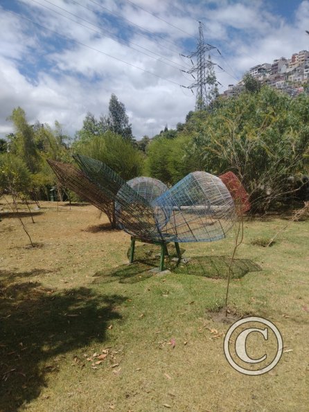 La Siembra de los Arboles, Parque El Sueno (7)