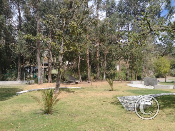 Parque El Peral at Casa de la Música