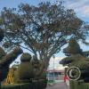 Parque Juan Benigno Vela at Av Quiz Quiz and Paccha (10)