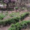 Parque Luis A. Martínez, Garden in Parque el Sueno (7)