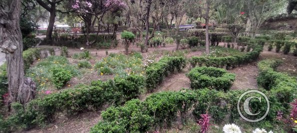 Parque Luis A. Martínez, Garden in Parque el Sueno (7)