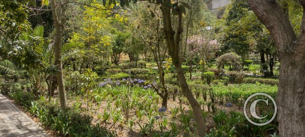 Parque Luis A. Martínez, Garden in Parque el Sueno
