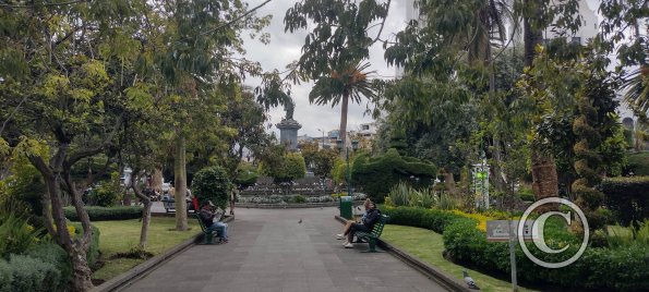 Parque Montalvo at Juan Montalvo and Simon Bolivar (6)