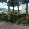Parque de la Madre at Orellana and Hernan Cortez (10)