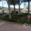 Parque de la Madre at Orellana and Hernan Cortez (9)