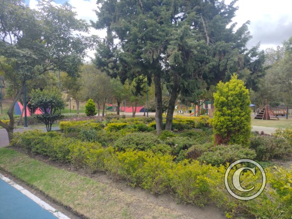 Parque el Sueño, garden (3)