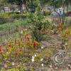 Parque el Sueño, garden (4)