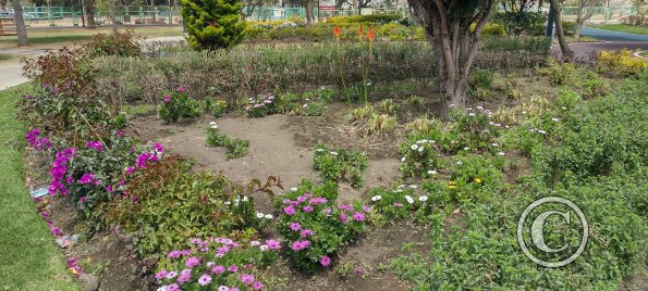 Parque el Sueño, garden (5)