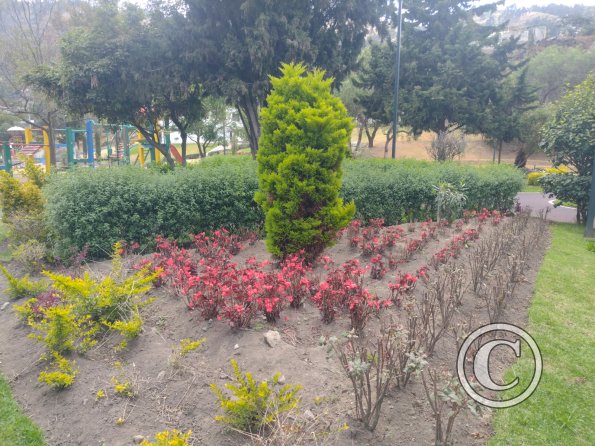 Parque el Sueño, garden