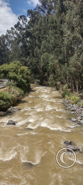 Path along Rio Ambato (10)
