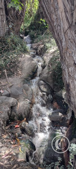 Path along Rio Ambato (14)
