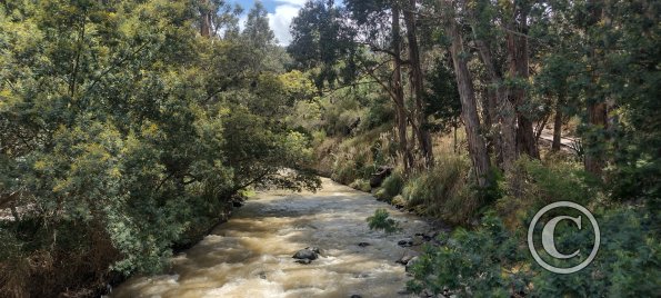 Path along Rio Ambato (5)