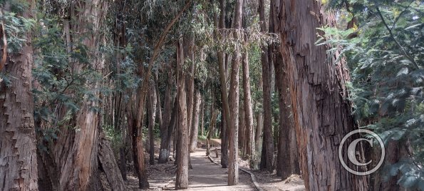 Path along Rio Ambato (6)
