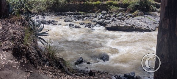 Path along Rio Ambato (9)