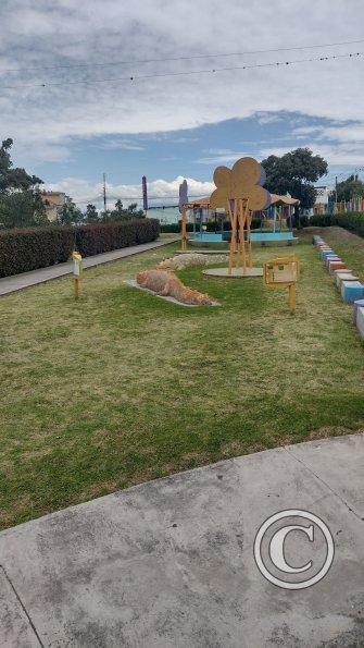 IMG_20221114_104552867_HDR