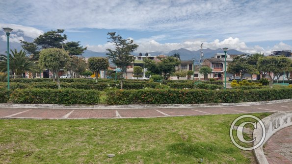 IMG_20221114_105433531_HDR