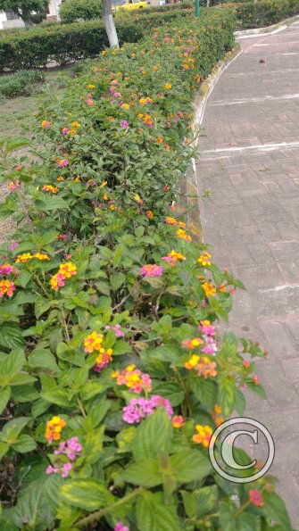 IMG_20221114_105505156