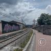 IMG_20221114_125321816_HDR