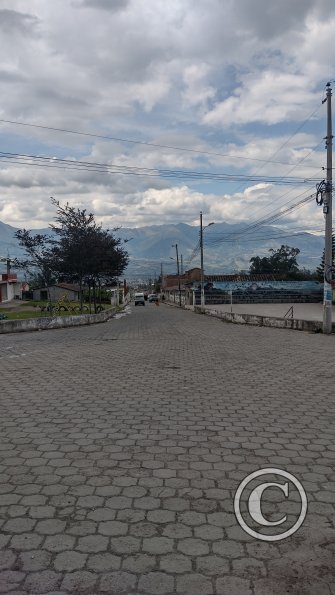 IMG_20221114_132501703_HDR