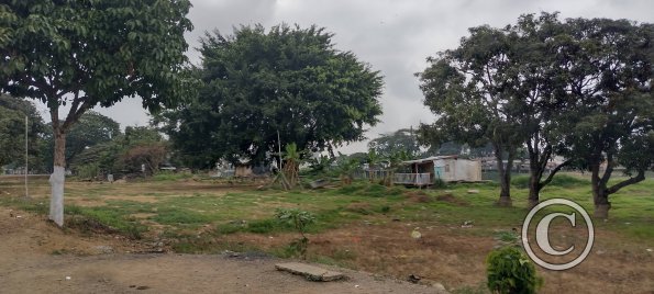 Awful green space alongside Rio Babahayo (2)