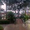 Parque Central at Sucre and 10 de Agosto
