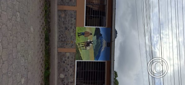Mural on Celia Ampudia near Victor Perez Bayas (2)