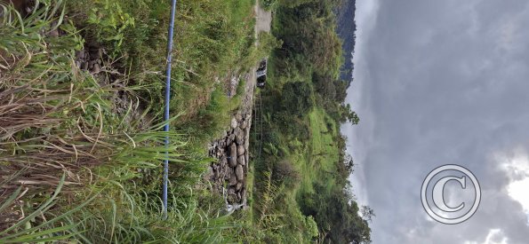 Rio Machangara (2)