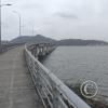 IMG_20221204_122210951