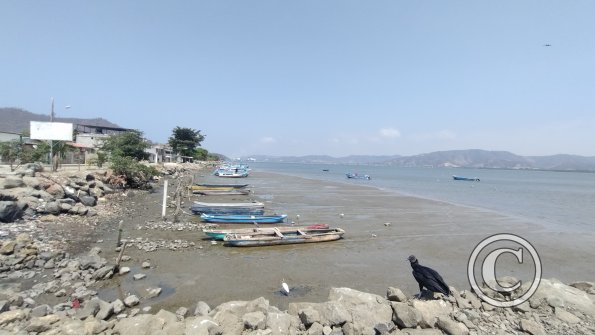 IMG_20221205_114941810