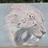 IMG_20221204_170914922