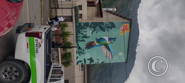 Mural at Luis A Martinez near Manuel Sanchez