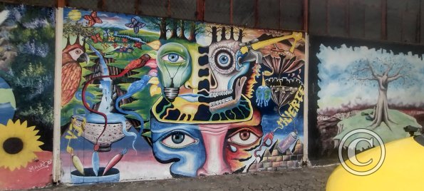 Mural on Luis A Martinez near Rafael Vieira (2)
