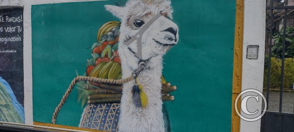 Mural on building on Thomas Halflants (3)