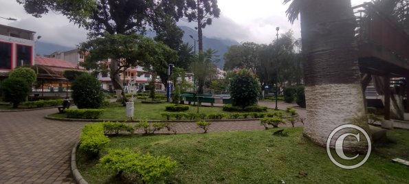 Parque Central at Thomas Halflants and Ambato