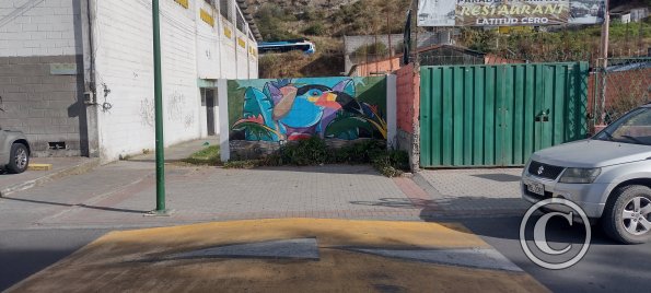 Mural on Juan Jose Flores near Oriente (4)