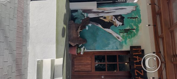 Mural on Juan Jose Flores near Oriente (5)