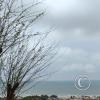 IMG_20221202_120313385